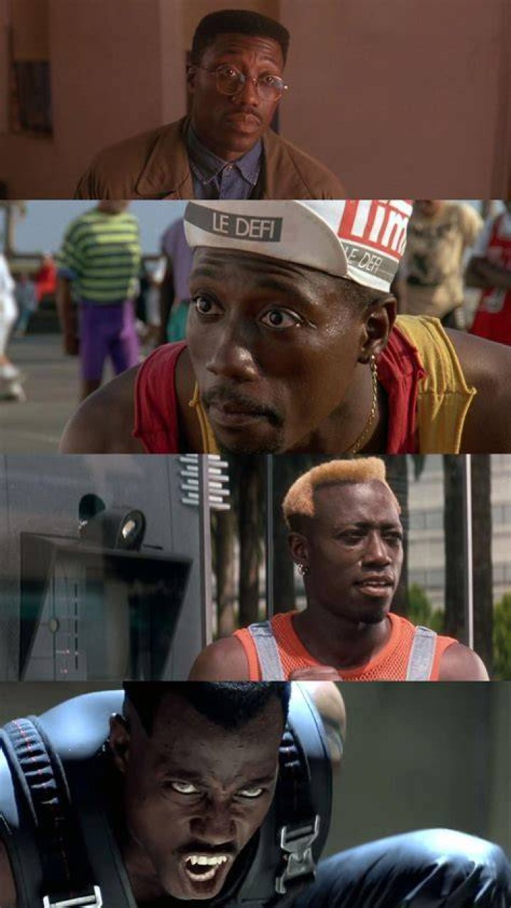 The Life and Career of Wesley Snipes