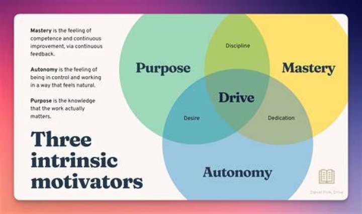 The Pro: Unveiling the Journey of Mastery and Excellence