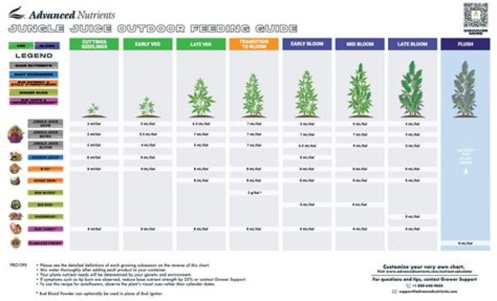 The Ultimate Guide: Can Marijuana Aid in Concussion Recovery?