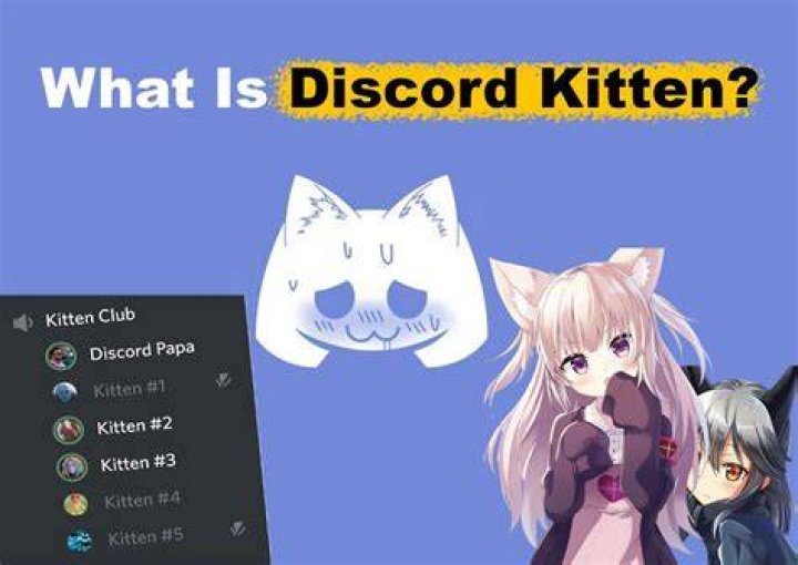 The Ultimate Guide to Discord Kitten Servers: Join the Purr-fect Community