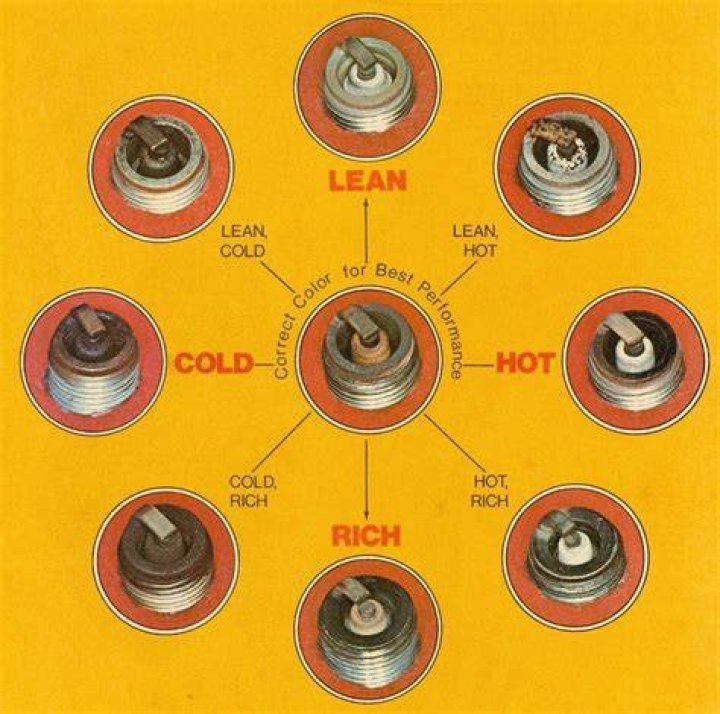 The Ultimate Guide to Lena The Plug: Tips, Tricks, and More