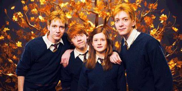 The Ultimate Guide to Ronald Weasley, Harry Potter's Loyal Companion