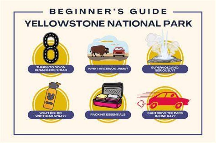 The Ultimate Guide to Yellowstone's Rip Wheeler