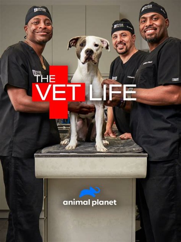 The Vet Life Lawsuit: A Detailed Examination
