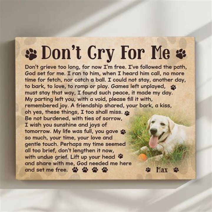 Thoughtful Dead Dog Gifts: Honoring Your Beloved Pet's Memory