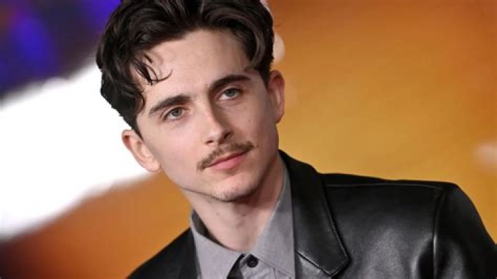 Timoth&eacute;e Chalamet Age: Unveiling the Journey of a Young Hollywood Icon