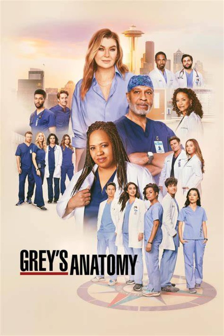 Top 10 Good Grey's Anatomy Episodes You Must Watch