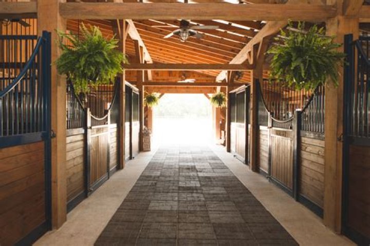Top-Rated Horse Boarding Near You