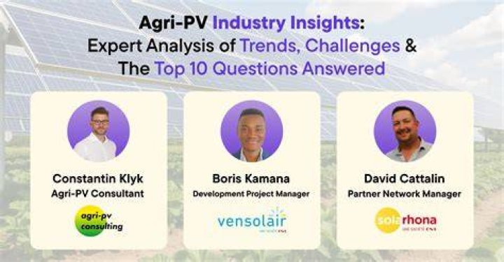 Top-Rated Mariya Samsonova - Expert Insights and Strategies