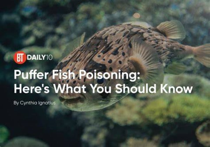 Tragic Tales: Man Dies from Puffer Fish Poisoning
