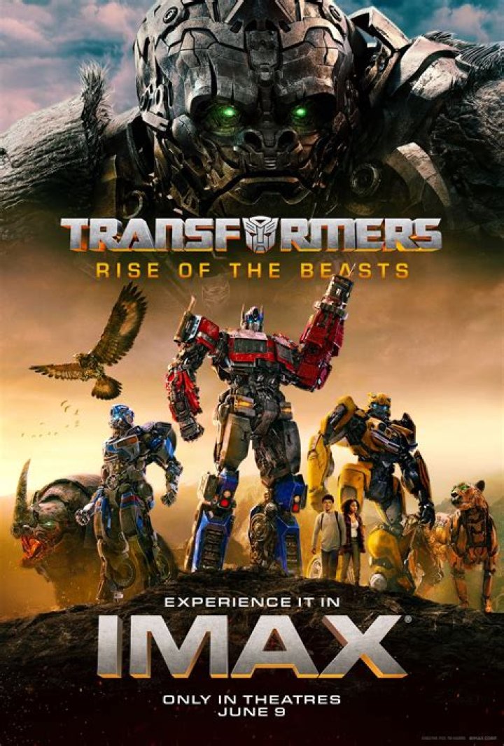 Transformers Film Actress: A Comprehensive Overview