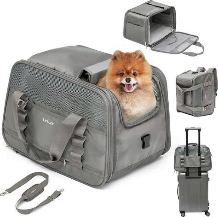 Ultimate Guide to Choosing the Best Dog Carrier for Your Furry Friend