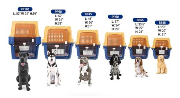 Ultimate Guide to Dog Crates for Large Dogs: Choosing the Right One