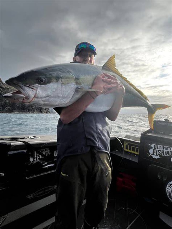 Ultimate Guide to Matt Webster Fishing: Techniques, Insights, and Tips