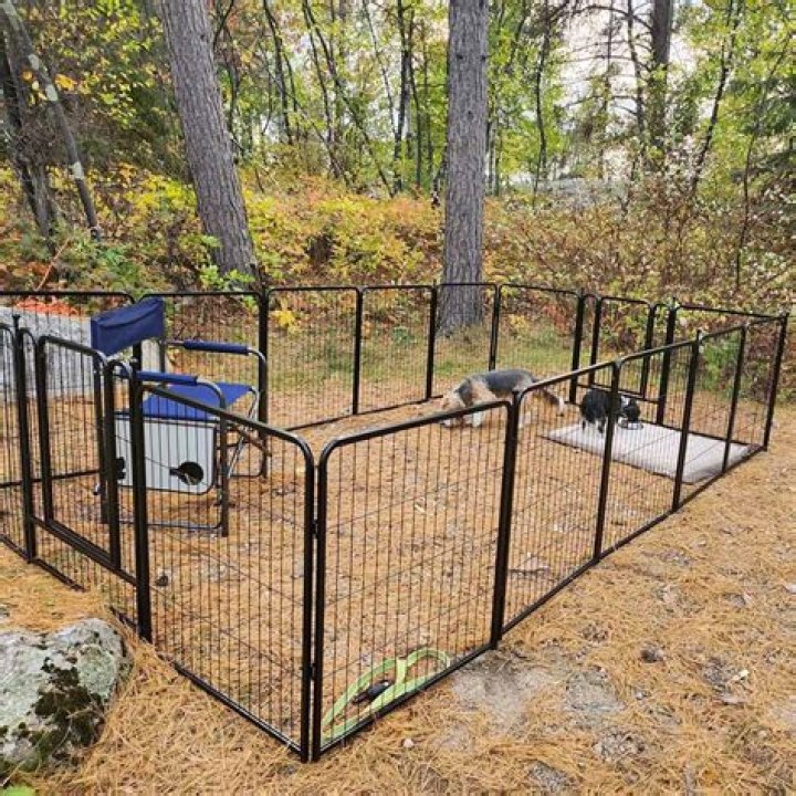 Ultimate Guide to Outdoor Dog Playpens: Keeping Your Pup Safe and Happy