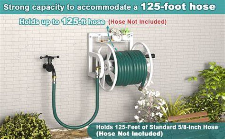 Ultimate Guide to Water Hose Reels: A Gardener's Best Friend