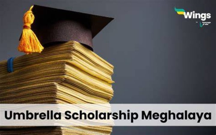 Umbrella Scholarship 2024 Last Date: Everything You Need to Know
