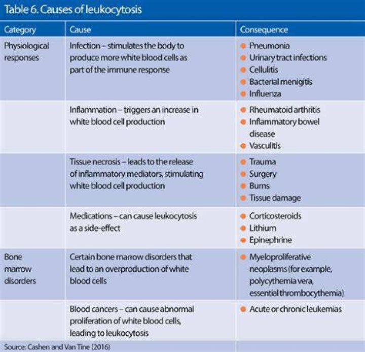 Uncover the Truth About Moha Meds: Your Guide to Safe and Effective Treatment