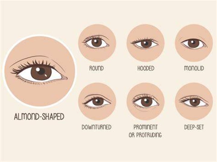 Understanding Almond Shaped Eyes: Characteristics, Beauty Tips, and Care