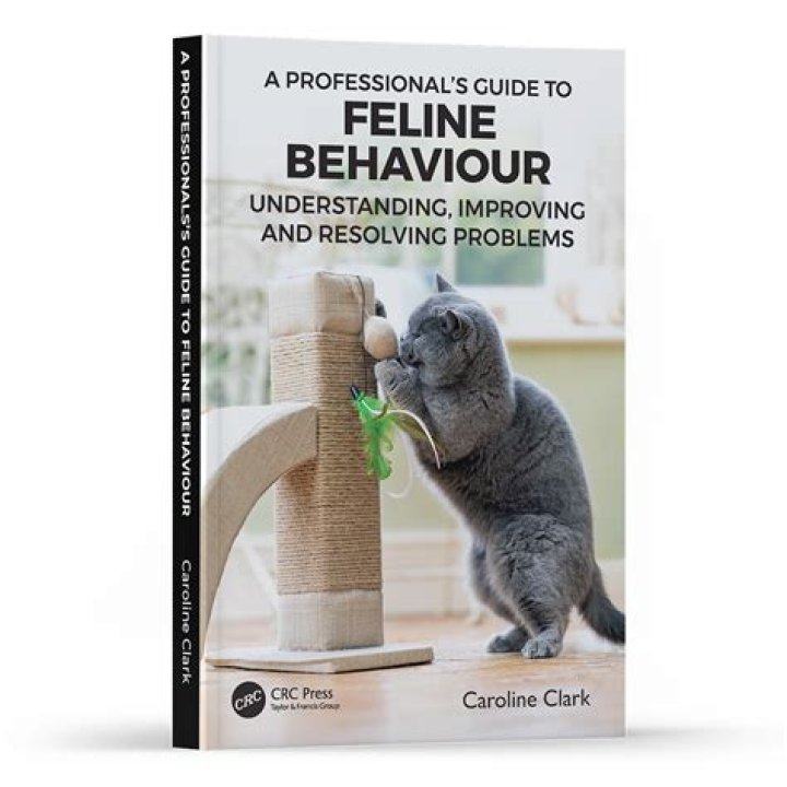 Understanding Cats: The Ultimate Guide to Feline Companions