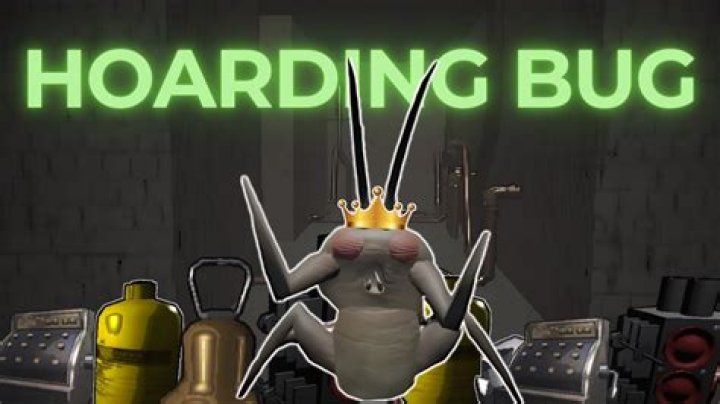 Understanding Hoarding Bugs: The Lethal Sounds of a Company’s Impact