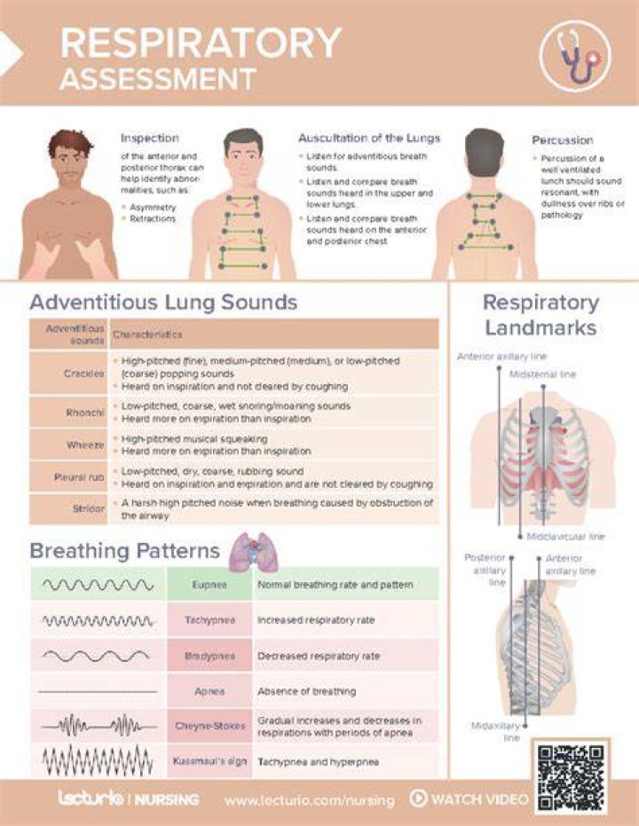 Understanding JAV IPPA: A Comprehensive Guide