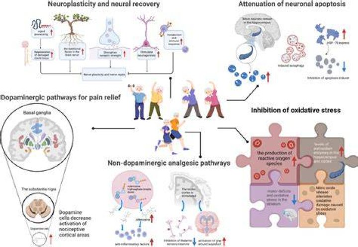 Understanding John Travolta and Parkinson's Disease: A Comprehensive Insight