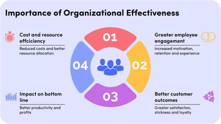 Understanding MyOrg: A Comprehensive Guide to Organizational Management