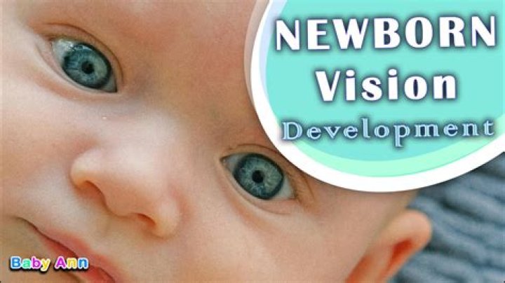 Understanding Stephen Nedoroscik's Eyesight: A Dive into His Vision Journey