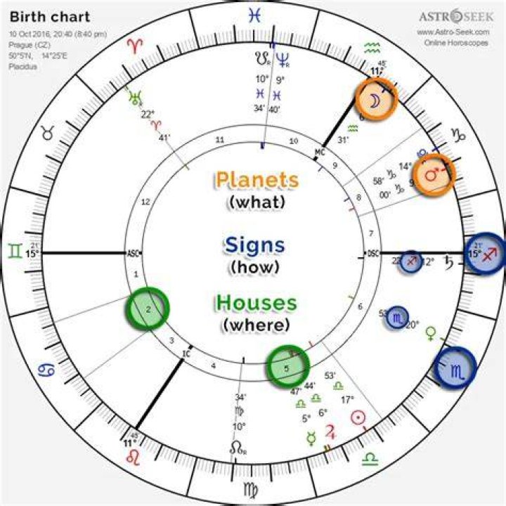 Understanding the December 21 Sign: The Astrological Insights