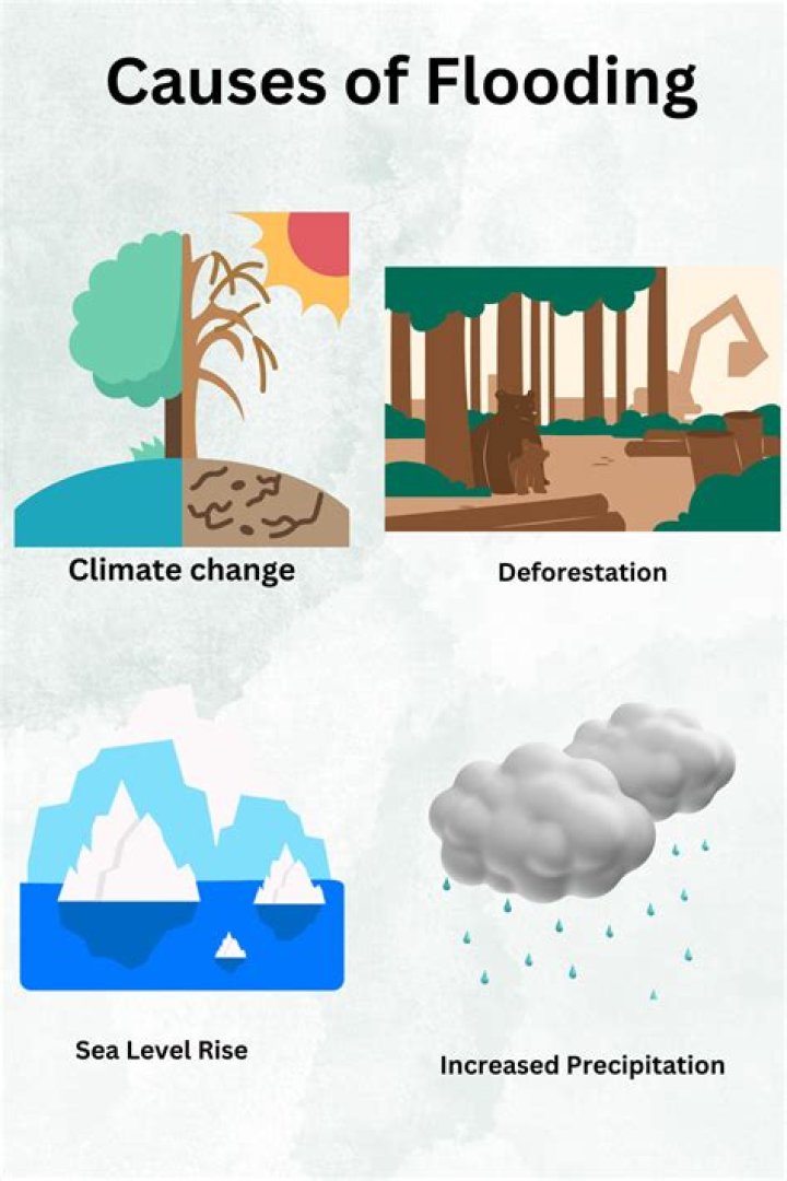 Understanding the Impact of Great Wolf Lodge Floods: Causes, Consequences, and Solutions