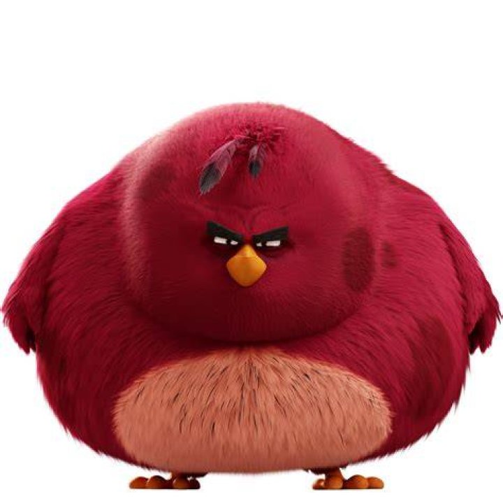 Understanding the Phenomenon of Fat Angry Bird: A Comprehensive Guide