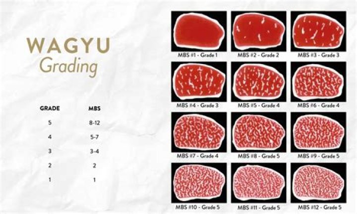 Understanding Wagyu Beef Pronunciation: A Comprehensive Guide