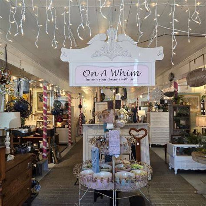 Unleash Your Whim: Inspiring Ideas & Moments