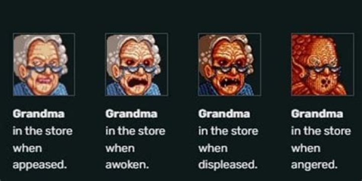 Unleashing the Fury: The Story of Angry Grandma
