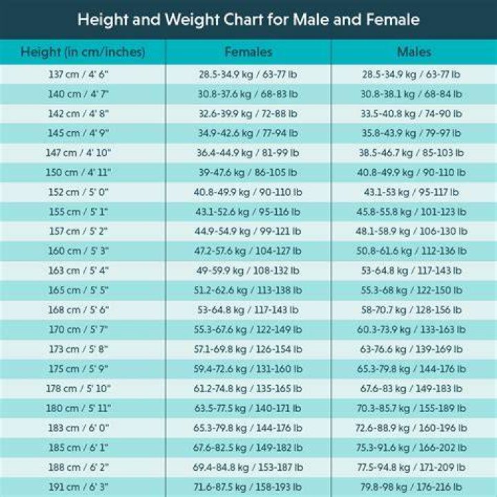 Unveiling the Height, Weight, and Measurements of Kat Timpf: Everything You Need to Know