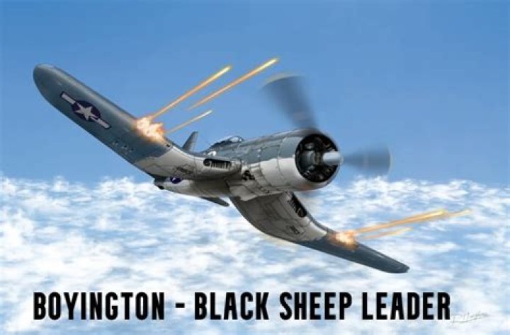 Unveiling the Legacy of the Black Sheep Squadron