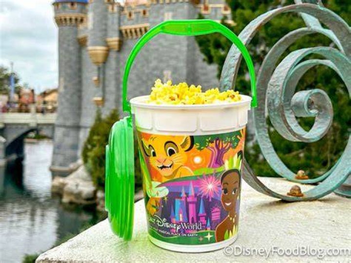 Unveiling the Magic of the Disney Popcorn Bucket