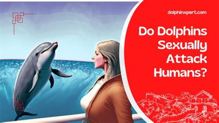 Unveiling the Mysteries of Dolphin Penis: Nature's Fascinating Design