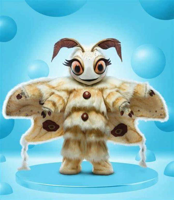 Unveiling the Mystique of the Poodle Moth