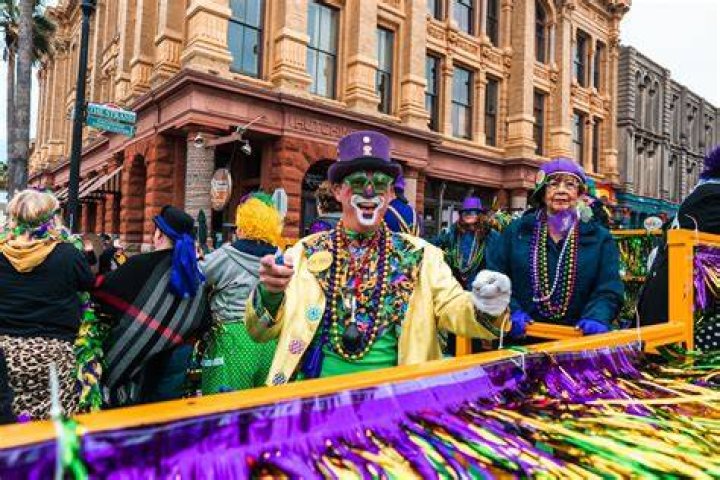 Unveiling the Vibrant Significance of Mardi Gras Colors