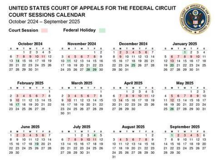 Upcoming Court Days: Dates & Details