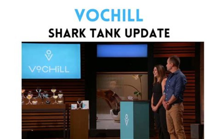 Vochill Net Worth 2024: A Deep Dive into Success and Financial Growth