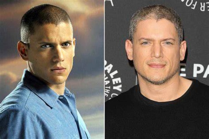 Wentworth Miller 2024: A Comprehensive Look at His Career and Life