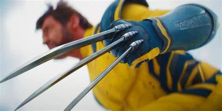 What's the Longest Wolverine Has Been Alive?