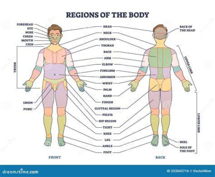 What Body Part Crosses the Line in Sprinting?