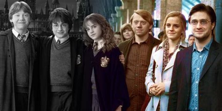 What Courses Did Hermione Granger Take at Hogwarts?