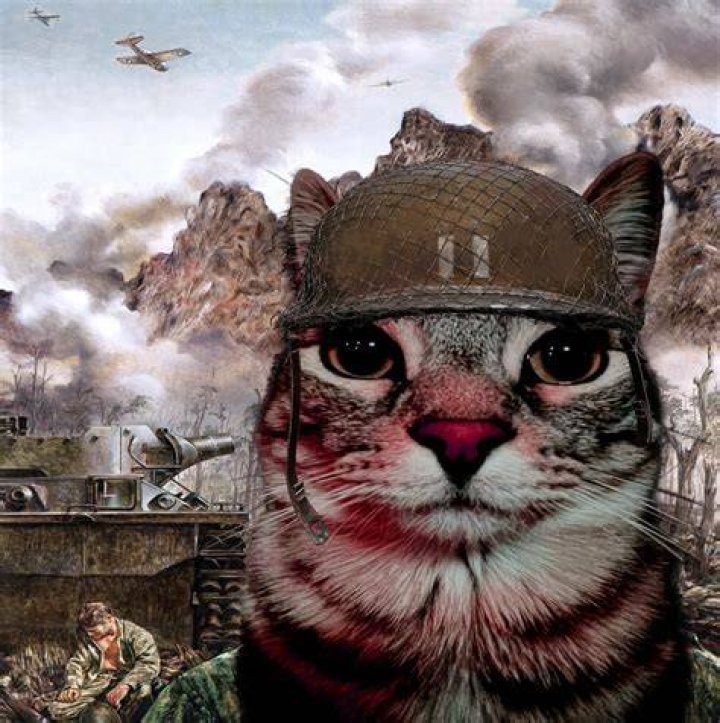 What is the Thousand Yard Stare? Understanding Its Meaning and Implications