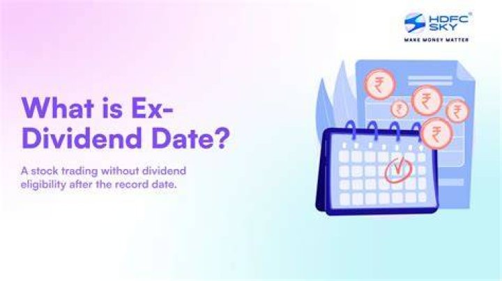 When is DX Ex-Dividend Date? Find Out Here