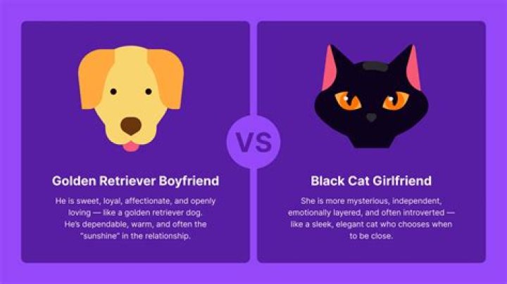 Where Did the Black Cat Golden Retriever Trend Start?